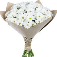Chamomile bouquet