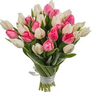 Pink-white bouquet of tulips