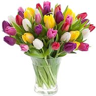 Assorted bouquet with tulips