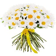 A chic bouquet of chamomiles