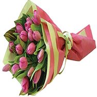 Tulips buy