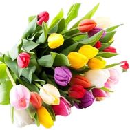 Tulips in a bouquet