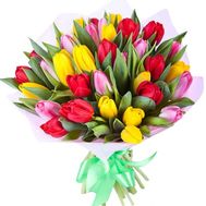 Bright tulips