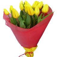Yellow tulips