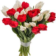 Live tulips