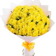 Yellow chrysanthemums