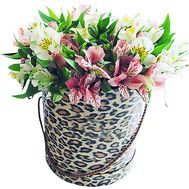 Alstroemeria in a hat box