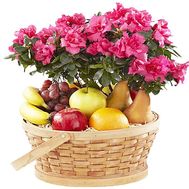 Flower in a pot and fruits in a basket