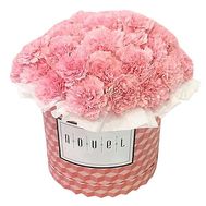Carnations in the box