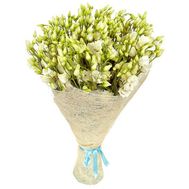 Delicate bouquet of white eustoma
