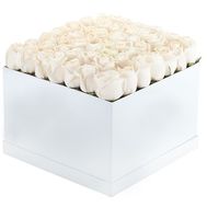 Roses in a square box