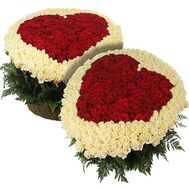 Two hearts on a 501 rose - you and me