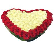 Roses for Valentine`s Day