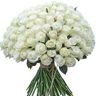 101 white meter rose