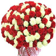 101 red and white imported rose