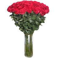 101 red imported rose 1 meter