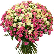 101 cluster rose