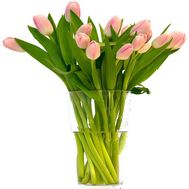 17 tulips