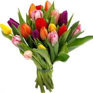 19 tulips