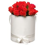 25 orange roses in a round box