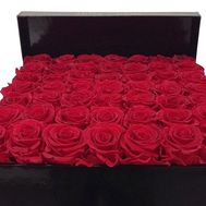 35 red roses in a box