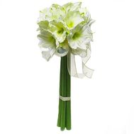 Amaryllis bouquet