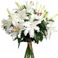 White lilies bouquet