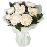 White peonies to buy
