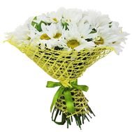 Large bouquet of chamomiles