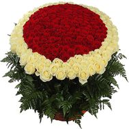 Bouquet of 1000 (1001) roses