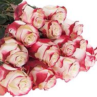 Bouquet 19 roses Sweetness (Sweetness)