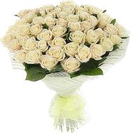 Bouquet of 55 cream-colored roses for the anniversary