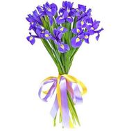 Bouquet of irises