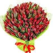 Bouquet of 100 tulips + one