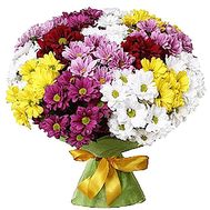 Bouquet of 15 chrysanthemums