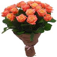 21 Rose Miss Piggy