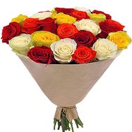 25 multi-colored roses
