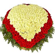 Bouquet of 501 red white roses