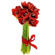 A bouquet of exotic flowers Amaryllis