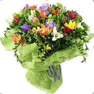 A bouquet of multi-colored freesias with greens