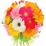 Bouquet of different color gerberas