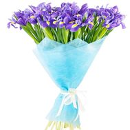 Bouquet of blue irises