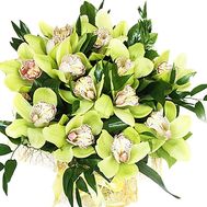 Bouquet of green orchids cymbidium