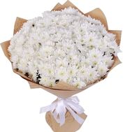Bouquet of white chrysanthemum