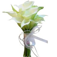 Flowers callas buy