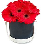 Flowers in a box are cheap