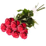 Long roses imported