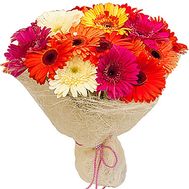 Gerberas in bouquet