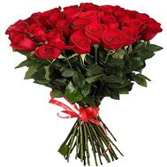 Dutch red roses