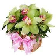 Box of flowers with orchids